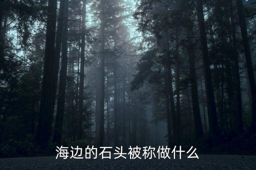 海邊的大石頭怎么叫，咱們國家堆在海邊為了防止海浪過大那種大石塊叫什么啊