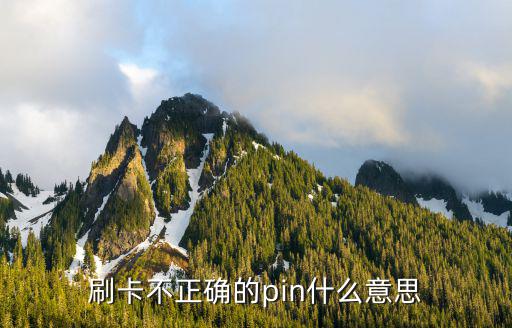 刷卡不正確的pin什么意思