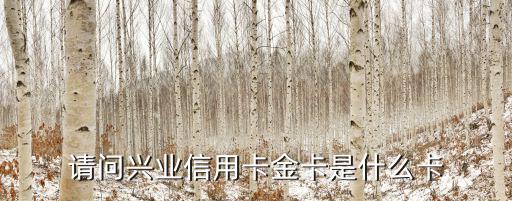 請問興業(yè)信用卡金卡是什么卡