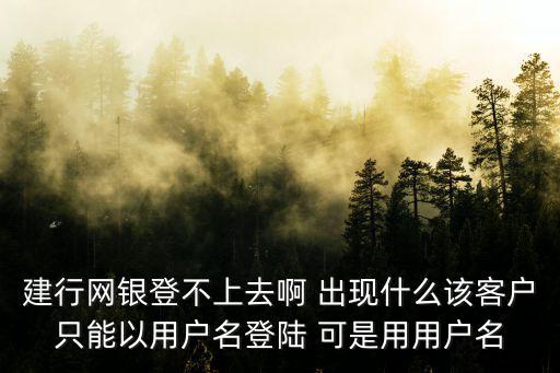什么是網(wǎng)銀用戶名登錄不了怎么辦啊，中國銀行網(wǎng)上銀行登陸不了怎么辦