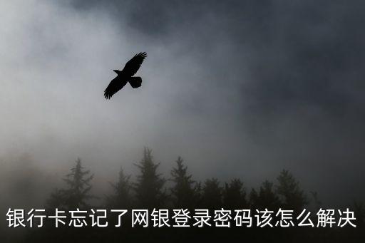 登錄銀行網(wǎng)銀時輸密碼忘了怎么辦，銀行卡忘記了網(wǎng)銀登錄密碼該怎么解決