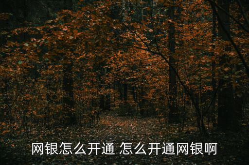 網(wǎng)銀怎么開通 怎么開通網(wǎng)銀啊