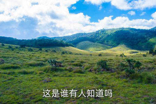 這是誰有人知道嗎