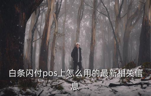 白條閃付pos上怎么用的最新相關(guān)信息