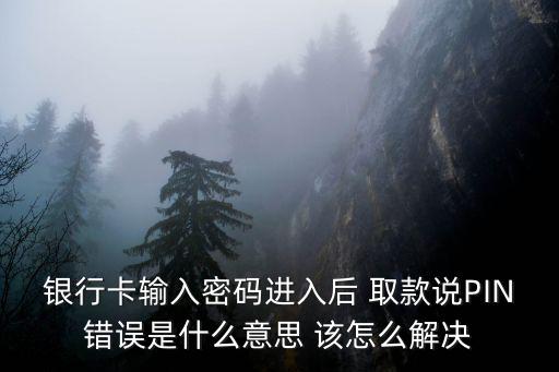 信用卡pin輸入錯誤怎么回事，刷卡不正確的pin什么意思