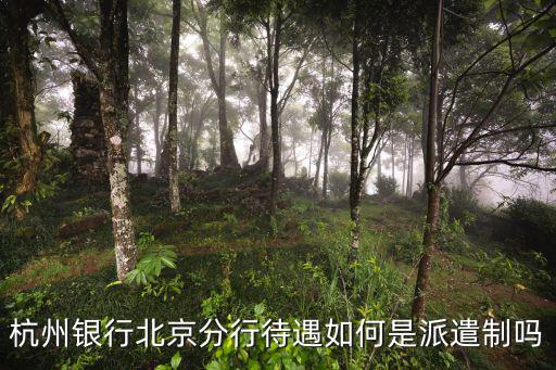 北京杭州銀行怎么樣嗎，杭州銀行北京分行待遇如何是派遣制嗎