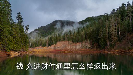 錢進(jìn)入財(cái)付通怎么辦，我想問問看我昨天充的電話費(fèi)都到財(cái)付通余額里面去了現(xiàn)在我