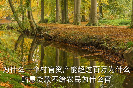 怎么投訴丁丁車(chē)貸，為什么一個(gè)村官資產(chǎn)能超過(guò)百萬(wàn)為什么貼息貸款不給農(nóng)民為什么官
