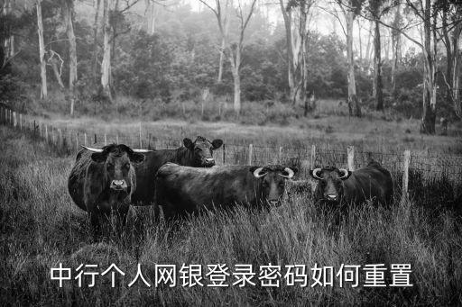 中行個人網(wǎng)銀登錄密碼如何重置