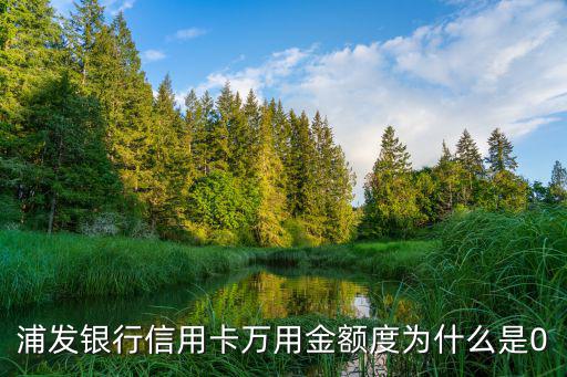浦發(fā)銀行信用卡萬用金額度為什么是0
