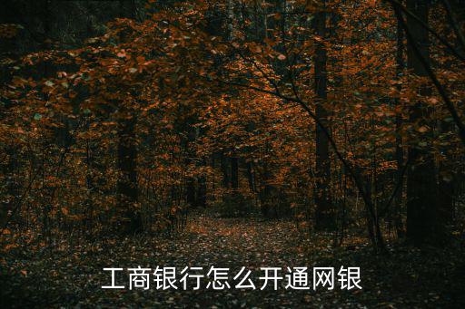 工行怎么自助開網(wǎng)銀，工商銀行怎么開通網(wǎng)銀