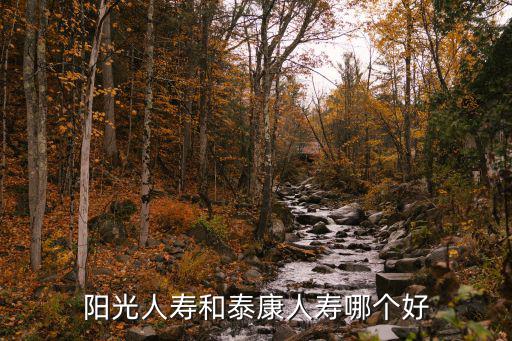 陽(yáng)光人壽和泰康人壽哪個(gè)好