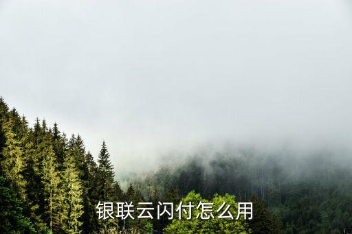 銀聯(lián)云閃付怎么用