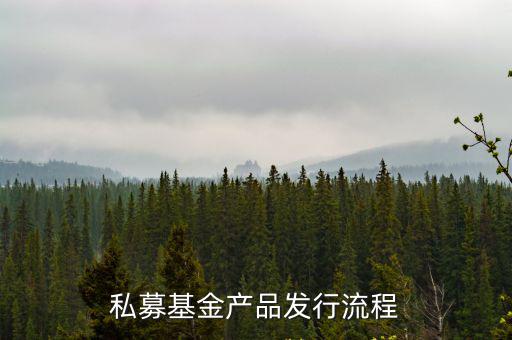私募基金產(chǎn)品發(fā)行流程
