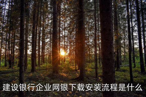 建設(shè)銀行企業(yè)網(wǎng)銀下載安裝流程是什么