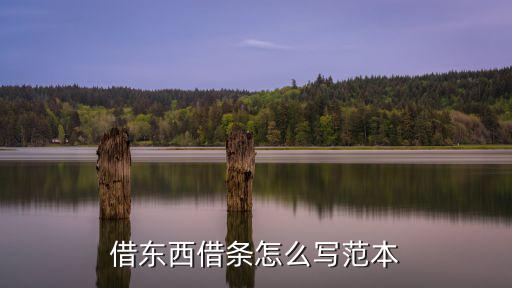 借人物品怎么寫借條，借東西借條怎么寫范本