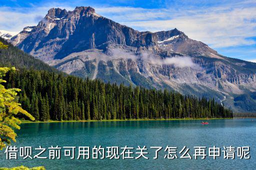 借唄之前可用的現(xiàn)在關(guān)了怎么再申請呢