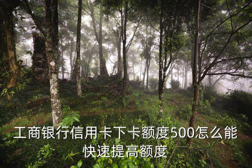 工行500提額度怎么辦，工行信用卡透支額度是500怎么還能提高
