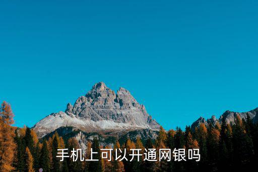 中國(guó)郵政手機(jī)銀行怎么開通網(wǎng)銀，手機(jī)上可以開通網(wǎng)銀嗎