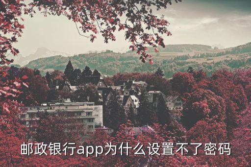 郵政網(wǎng)銀怎么安裝不了密碼，郵政銀行app為什么設(shè)置不了密碼