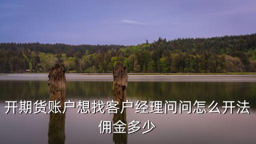開期貨賬戶想找客戶經(jīng)理問問怎么開法傭金多少