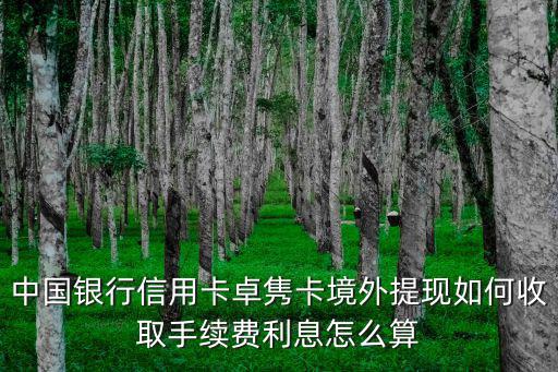 中國銀行信用卡卓雋卡境外提現(xiàn)如何收取手續(xù)費利息怎么算