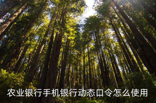 農(nóng)行手機(jī)動(dòng)態(tài)口令怎么用，農(nóng)業(yè)銀行手機(jī)銀行動(dòng)態(tài)口令怎么使用