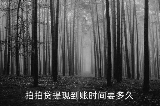 拍拍貸提現(xiàn)怎么那么慢，拍拍貸提現(xiàn)要多久