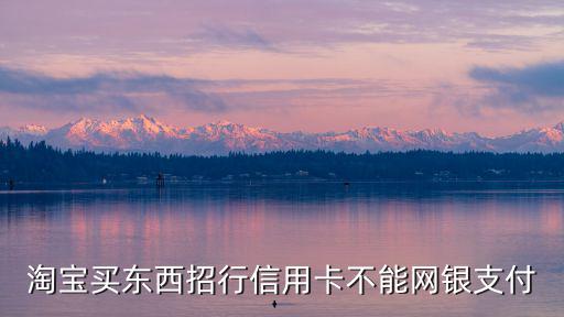 淘寶買東西招行信用卡不能網(wǎng)銀支付