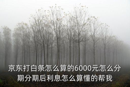 京東打白條怎么算的6000元怎么分期分期后利息怎么算懂的幫我
