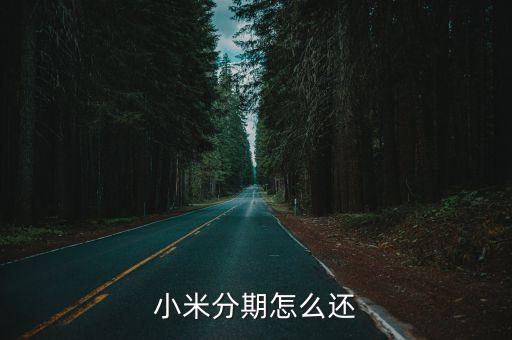 小米分期后續(xù)怎么支付，小米貸款中的小米分期怎么使用