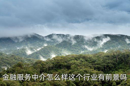 信貸中介前景怎么樣，金融服務(wù)中介怎么樣這個(gè)行業(yè)有前景嗎