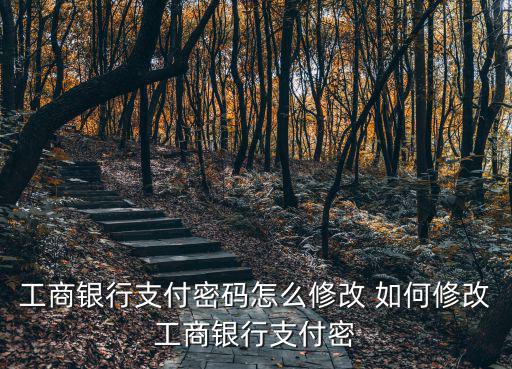 修改工商銀行支付密碼怎么修改密碼，工行怎么修改支付密碼
