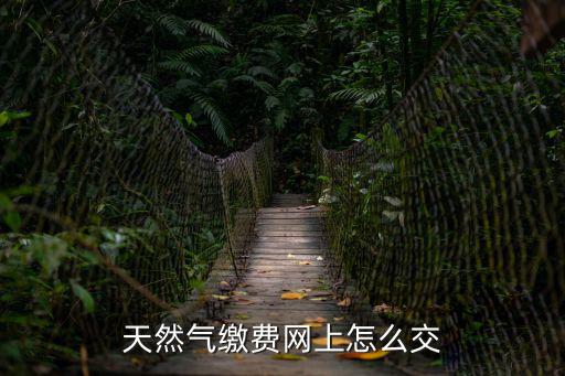 天然氣繳費(fèi)網(wǎng)上怎么交