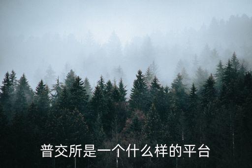 普交所是一個什么樣的平臺