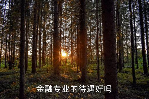 金融專業(yè)的待遇好嗎