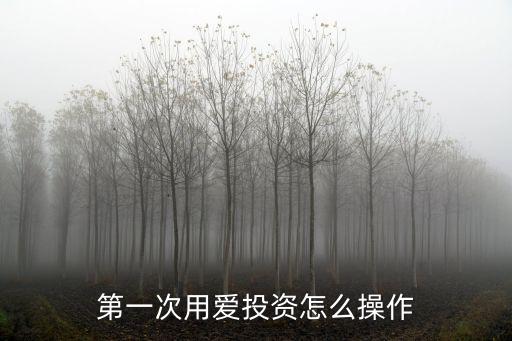 注冊(cè)了愛(ài)投資怎么退出，在愛(ài)投資平臺(tái)投的錢(qián)現(xiàn)在怎樣才能要回
