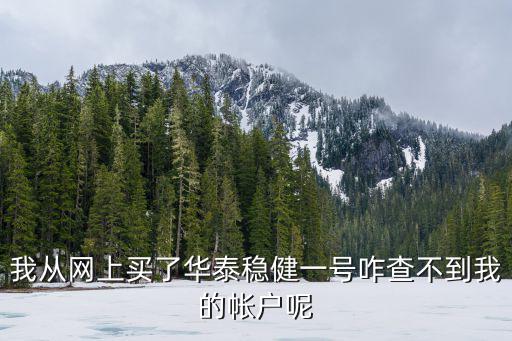 購買華泰穩(wěn)健怎么查詢，我從網(wǎng)上買了華泰穩(wěn)健一號咋查不到我的帳戶呢