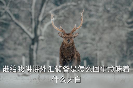 誰給我講講外匯儲備是怎么回事意味著什么大白