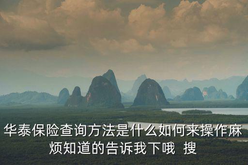 華泰保險(xiǎn)查詢方法是什么如何來(lái)操作麻煩知道的告訴我下哦  搜