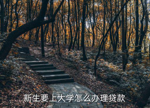 新生要上大學怎么辦理貸款