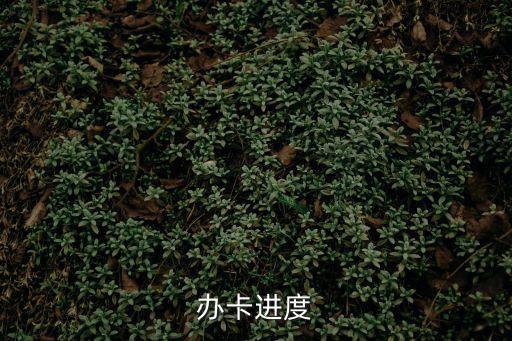 辦卡進(jìn)度