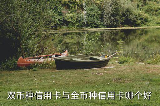 雙幣種信用卡與全幣種信用卡哪個(gè)好