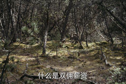什么是雙傭薪資