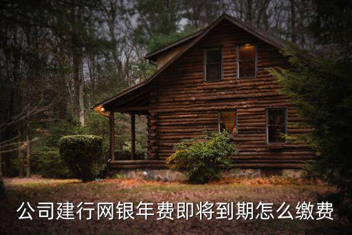 公司建行網(wǎng)銀年費(fèi)即將到期怎么繳費(fèi)