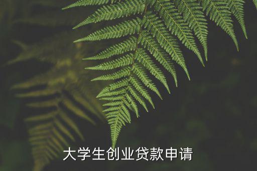 大學(xué)生創(chuàng)業(yè)貸款申請