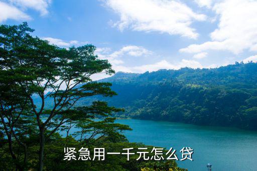 緊急用一千元怎么貸