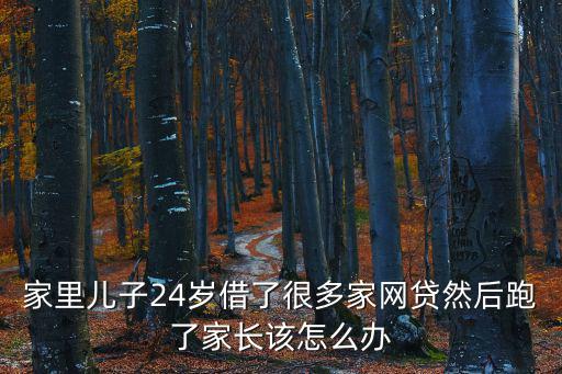 家里兒子24歲借了很多家網(wǎng)貸然后跑了家長(zhǎng)該怎么辦