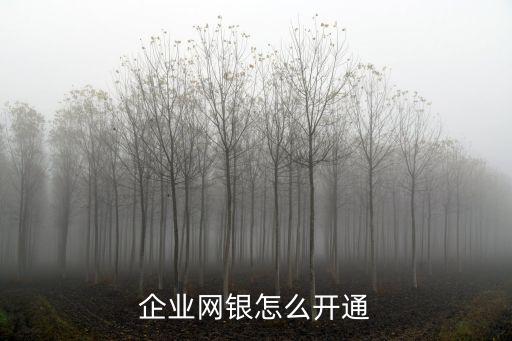 企業(yè)網(wǎng)銀怎么開通