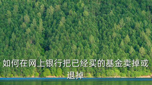 建行買的基金怎么取消，怎樣取消建行卡的基金服務(wù)